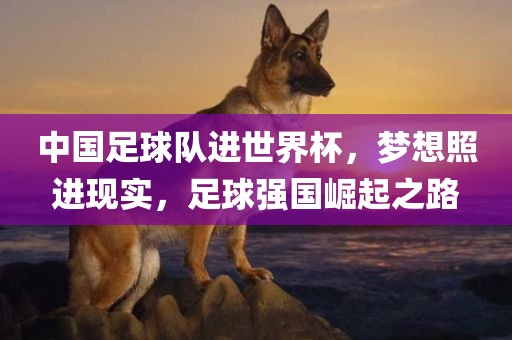 中国足球队进世界广西贺州市华昌新材料有限公司杯，梦想照进现实，足球强国崛起之路
