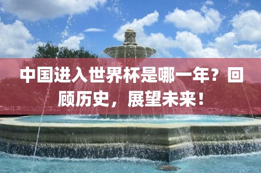 中国进入世界杯是哪一年？回顾历史，展望未来！广西贺州市华昌新材料有限公司