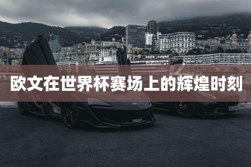 yeyaozhen 第6页