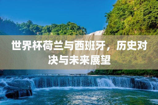 世界杯荷兰与西班牙，历史对决与未来展望广西贺州市华昌新材料有限公司