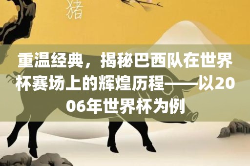 重温经典，揭秘巴西队在世界杯赛场上的辉煌历程——以2006年世界杯为例广西贺州市华昌新材料有限公司