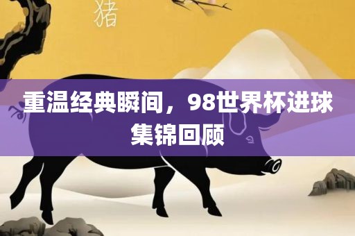 重广西贺州市华昌新材料有限公司温经典瞬间，98世界杯进球集锦回顾