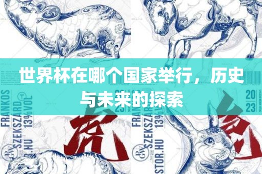 世界杯在哪个国家举行，历史与未来的探索广西贺州市华昌新材料有限公司