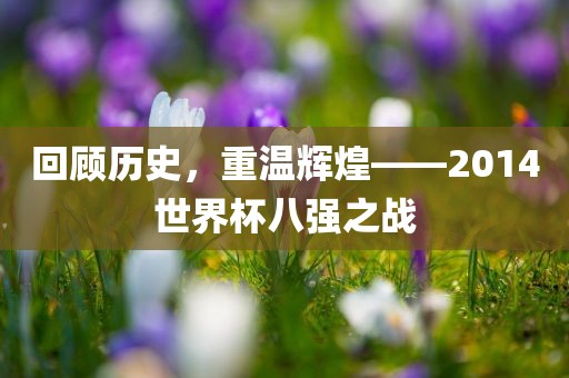回顾历史，重温辉煌—广西贺州市华昌新材料有限公司—2014世界杯八强之战