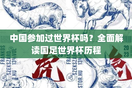 中国参加过世界杯吗？全面解读国足世界杯历程