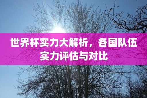 世界杯实力大解析，各国队伍实力评估与对比广西贺州市华昌新材料有限公司