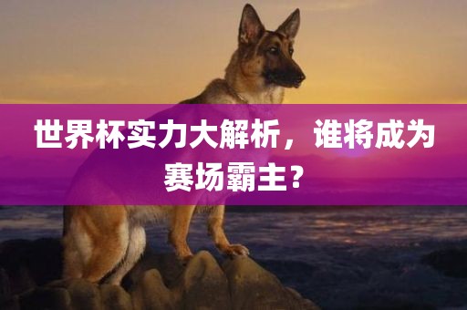 世界杯实力大解析，谁将成为赛场霸主？广西贺州市华昌新材料有限公司