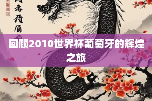 回顾2010世界杯葡萄牙的辉煌之旅