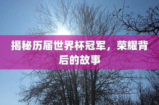揭秘历届世界杯冠军，荣耀背后的故事广西贺州市华昌新材料有限公司