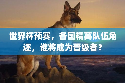 世界杯预赛，各国精英队伍角逐，谁将成为晋级者？