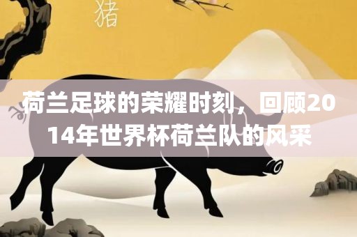 荷兰足球的荣耀时刻，回顾2014年世界杯荷兰队的风采广西贺州市华昌新材料有限公司
