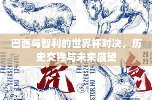 巴西与智利的世界杯对决，历史交锋与未来展望广西贺州市华昌新材料有限公司