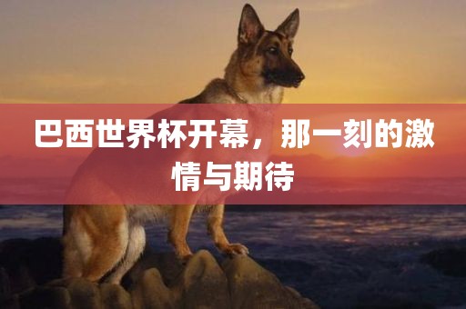 巴西世界杯开幕，那一刻的激情与期待