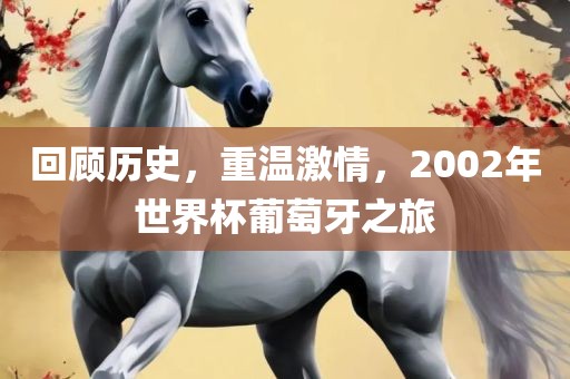 回顾历史，重温激情，2002年世界杯葡萄牙之旅