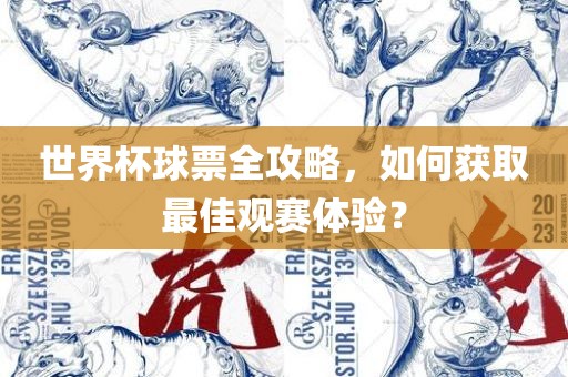 世界杯球票全攻略，如何获取最佳观赛体验？