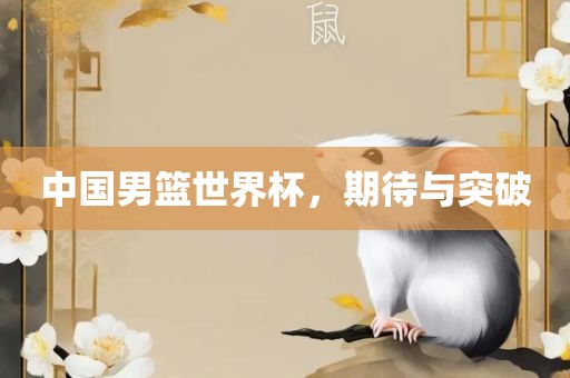 中国男篮世界杯，期待与突破广西贺州市华昌新材料有限公司