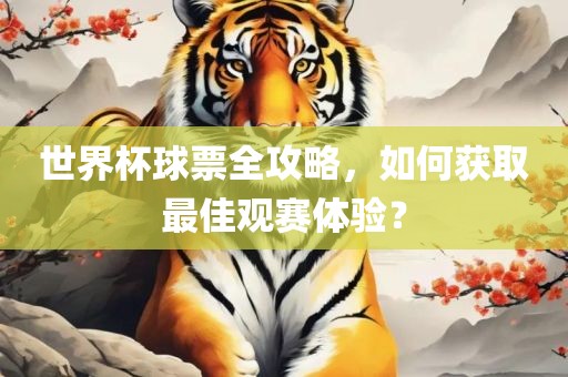 世界杯球票全攻略，广西贺州市华昌新材料有限公司如何获取最佳观赛体验？