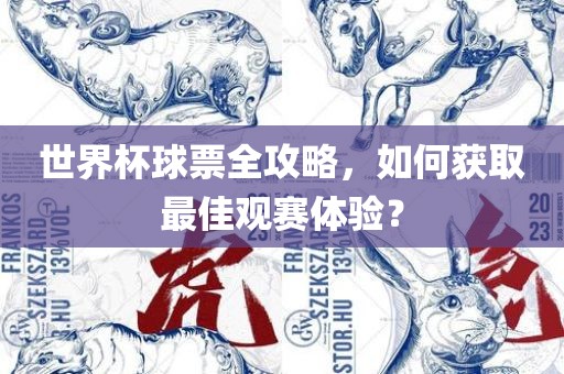 世界杯球票全攻略，如何获取最佳观赛体验？