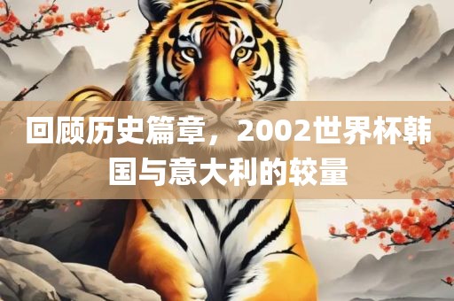 回顾历史篇章，2002世界杯韩国与意大利的较量广西贺州市华昌新材料有限公司
