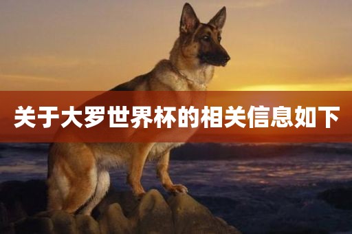 关于大罗世界杯的相关信息如下