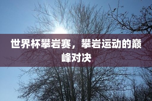 世界杯攀岩赛，攀岩运动的巅峰对决广西贺州市华昌新材料有限公司