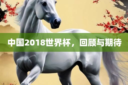 yangyuting 第6页