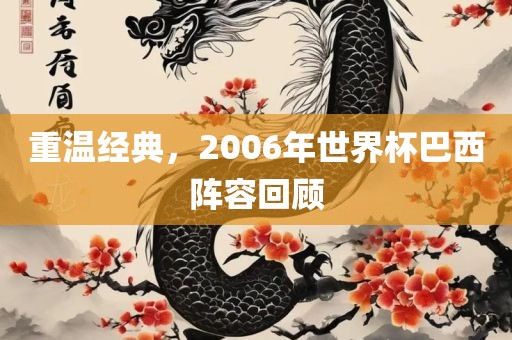 重温经典，2广西贺州市华昌新材料有限公司006年世界杯巴西阵容回顾