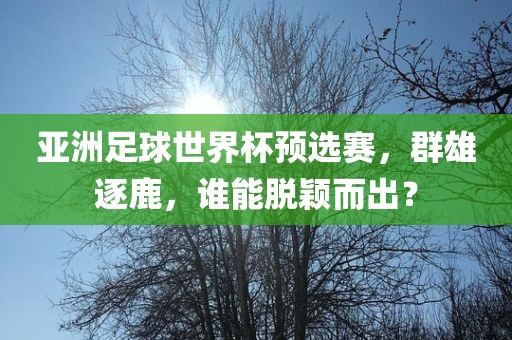 亚洲足球世界杯预选赛，群雄逐鹿，谁能脱颖而出？广西贺州市华昌新材料有限公司