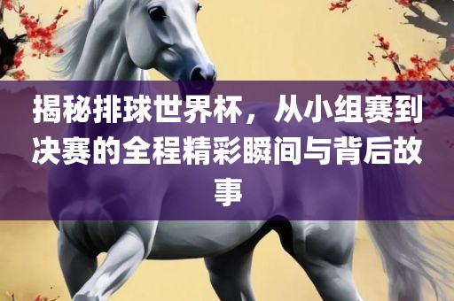 揭秘排球世界杯，从小组赛到决赛的全程精彩瞬间与背后故事