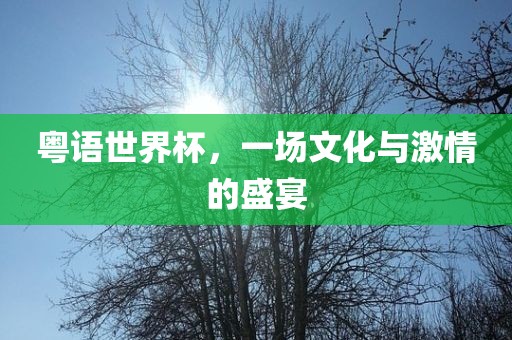 粤语世界杯，一场文化与激情的盛宴广西贺州市华昌新材料有限公司