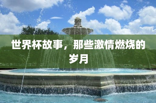 世界杯故事，那些激情燃烧的岁月