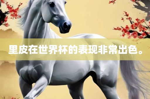 里皮在世界杯的表现非常出色。