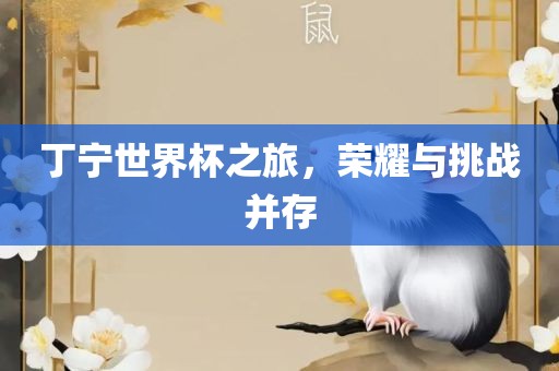 丁宁广西贺州市华昌新材料有限公司世界杯之旅，荣耀与挑战并存