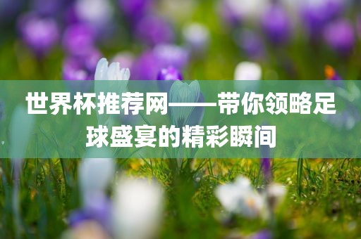 世界杯推荐网广西贺州市华昌新材料有限公司——带你领略足球盛宴的精彩瞬间