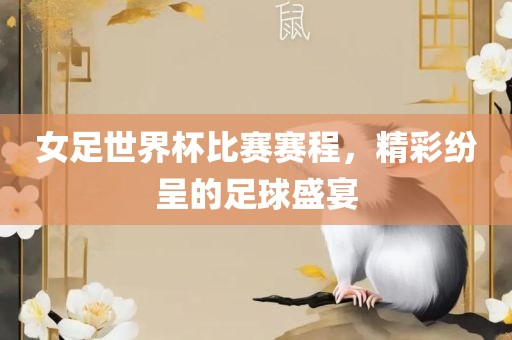 女足世界广西贺州市华昌新材料有限公司杯比赛赛程，精彩纷呈的足球盛宴