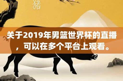 关于2019年男篮世界杯的直播，可以在多个平台上观看。
