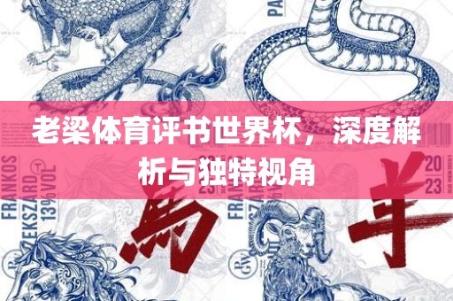 老梁体育评书世界杯，深度解析与独特视角