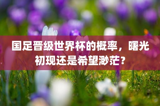 nieruihai 第6页