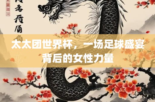 太太团世界杯，一场足球盛宴背后的女性力量