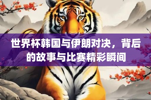 世界杯韩国与伊朗对决，背后的故事与比赛精彩瞬间广西贺州市华昌新材料有限公司