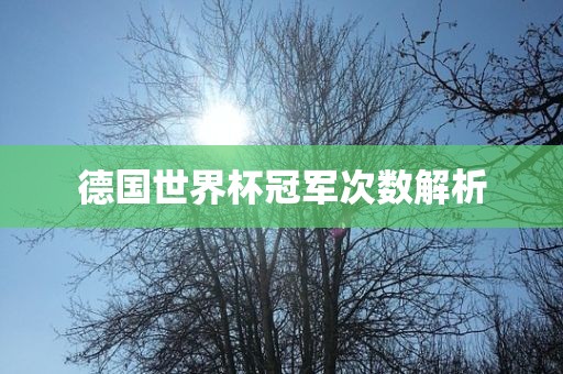 德国世界杯冠军次数解析广西贺州市华昌新材料有限公司