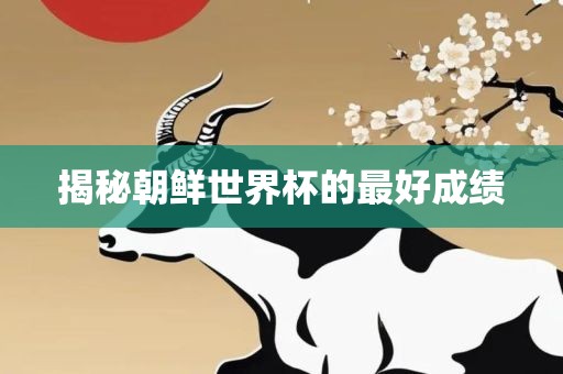 揭秘朝鲜世界杯的最好成绩