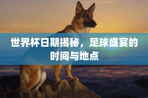 chenjiarong 第6页