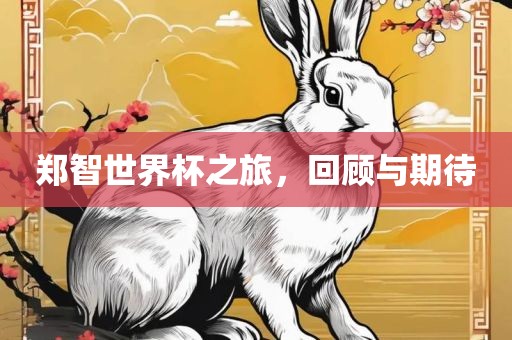 郑智世界杯之旅，回顾与期待