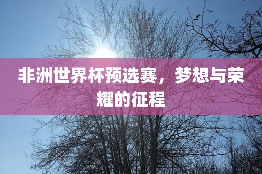 非洲世界杯预选赛，梦想与荣耀的征程
