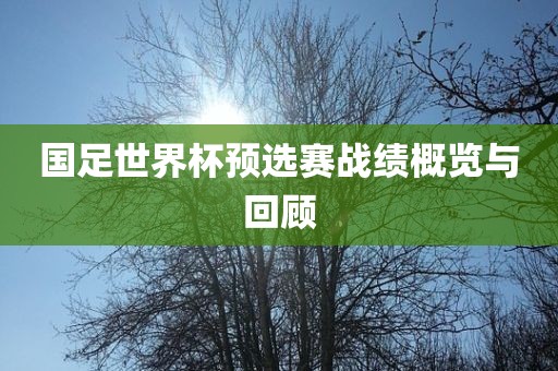 国足世界杯预选赛战绩概览与回顾