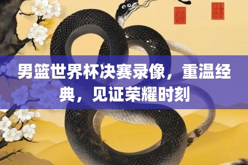 男篮世界杯决赛录像，重温经典，见证荣耀时刻广西贺州市华昌新材料有限公司