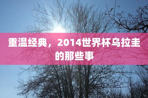 重温经典，2014世界杯乌拉圭的那些事