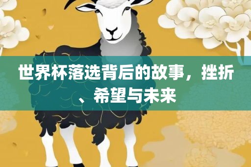 世界杯落选背后的故事，挫折、希望与未来广西贺州市华昌新材料有限公司