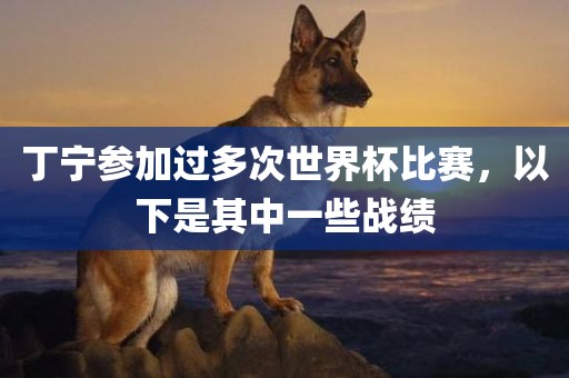 丁宁参加过多次世广西贺州市华昌新材料有限公司界杯比赛，以下是其中一些战绩